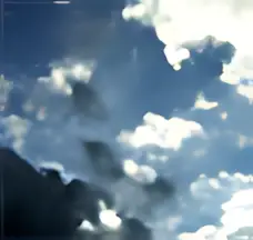 Chien blanc — Kléber Bosson