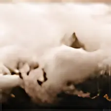 Tempêtes sur les drus — Jean-Daniel Champagnac