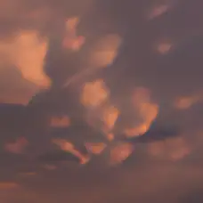 Crépuscule — Alexis Lesaffre