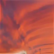 Cirrus vertebratus — Francis Massart